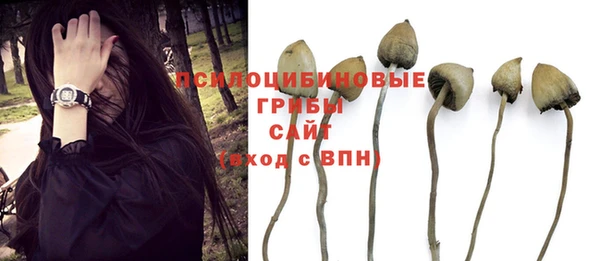 скорость Строитель