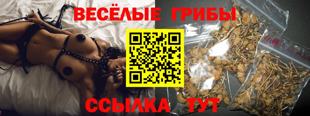 Галлюциногенные грибы Cubensis Урай