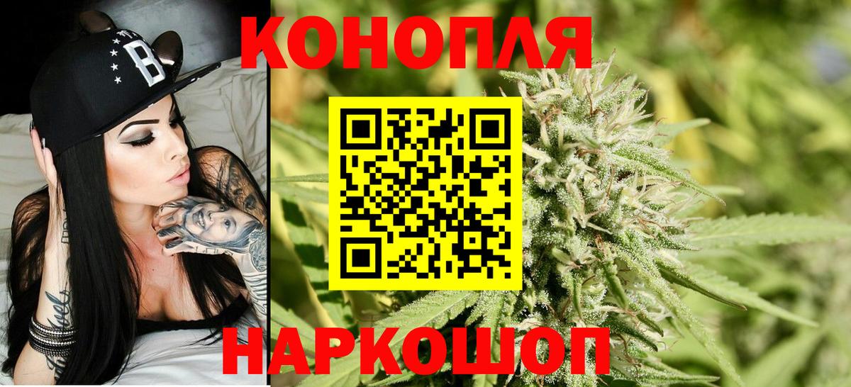 Канабис сатива Урай